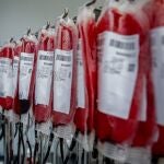 Bolsas de sangre en un laboratorio de transfusión