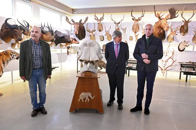 El Museo de Colecciones de la ULE muestra a la ciudad “las mayores colecciones de mariposas y de aves naturalizadas de España”