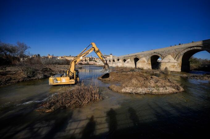 La Junta de Andalucía ha comenzado este miércoles a eliminar el islote de sedimentos y residuos en el río Guadalquivir, a la altura de los Sotos de la Albolafia, en Córdoba. EFE/Rafa Alcaide