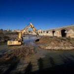 La Junta de Andalucía ha comenzado este miércoles a eliminar el islote de sedimentos y residuos en el río Guadalquivir, a la altura de los Sotos de la Albolafia, en Córdoba. EFE/Rafa Alcaide