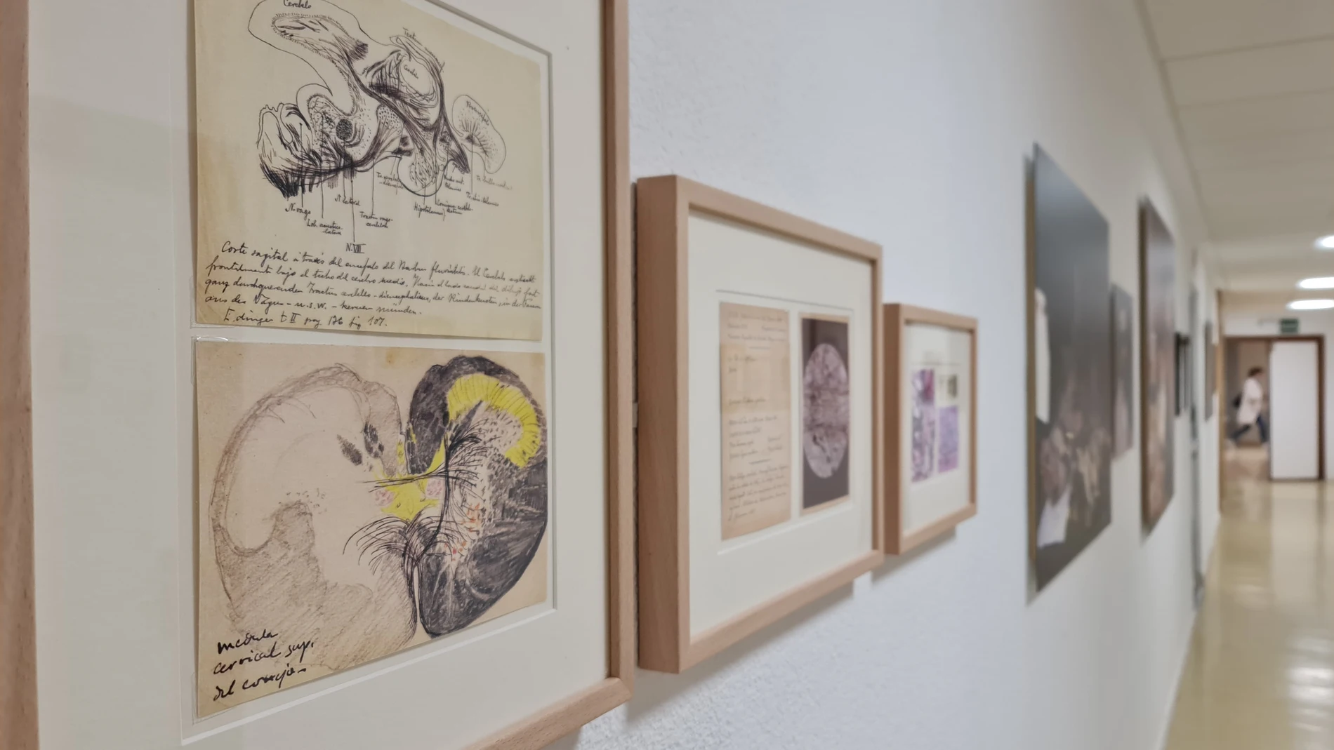Imágenes del Espacio Cajal en el Hospital 12 de Octubre de Madrid