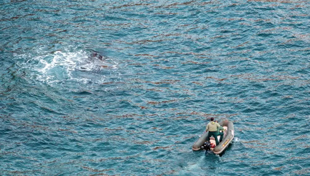 Imagen de la operación de la Guardia Civil.EFE/Alba Feixas