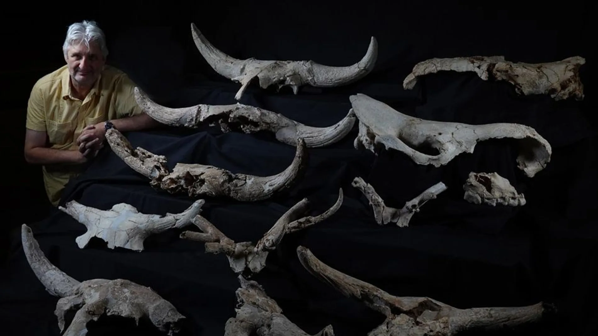 Enrique Baquedano y algunos de los cráneos hallados en la Cueva Des-Cubierta (Pinilla del Valle, Madrid).