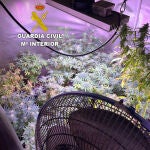 La detención de un hombre de 32 permite desmantelar un punto de venta de marihuana en Valdefresno (León)