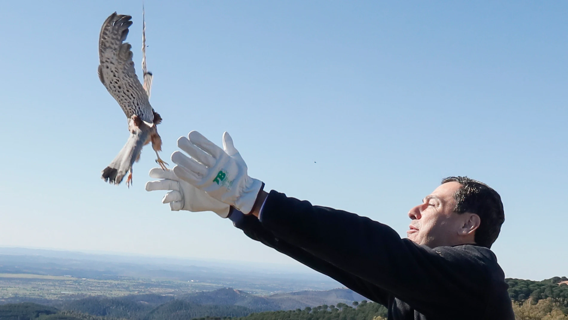 El presidente de la Junta de Andalucía, Juanma Moreno participa este domingo en la suelta de un buitre leonado y una pareja de cernícalos en el paraje de Sierra Pelada, en el término municipal de Aroche, Huelva