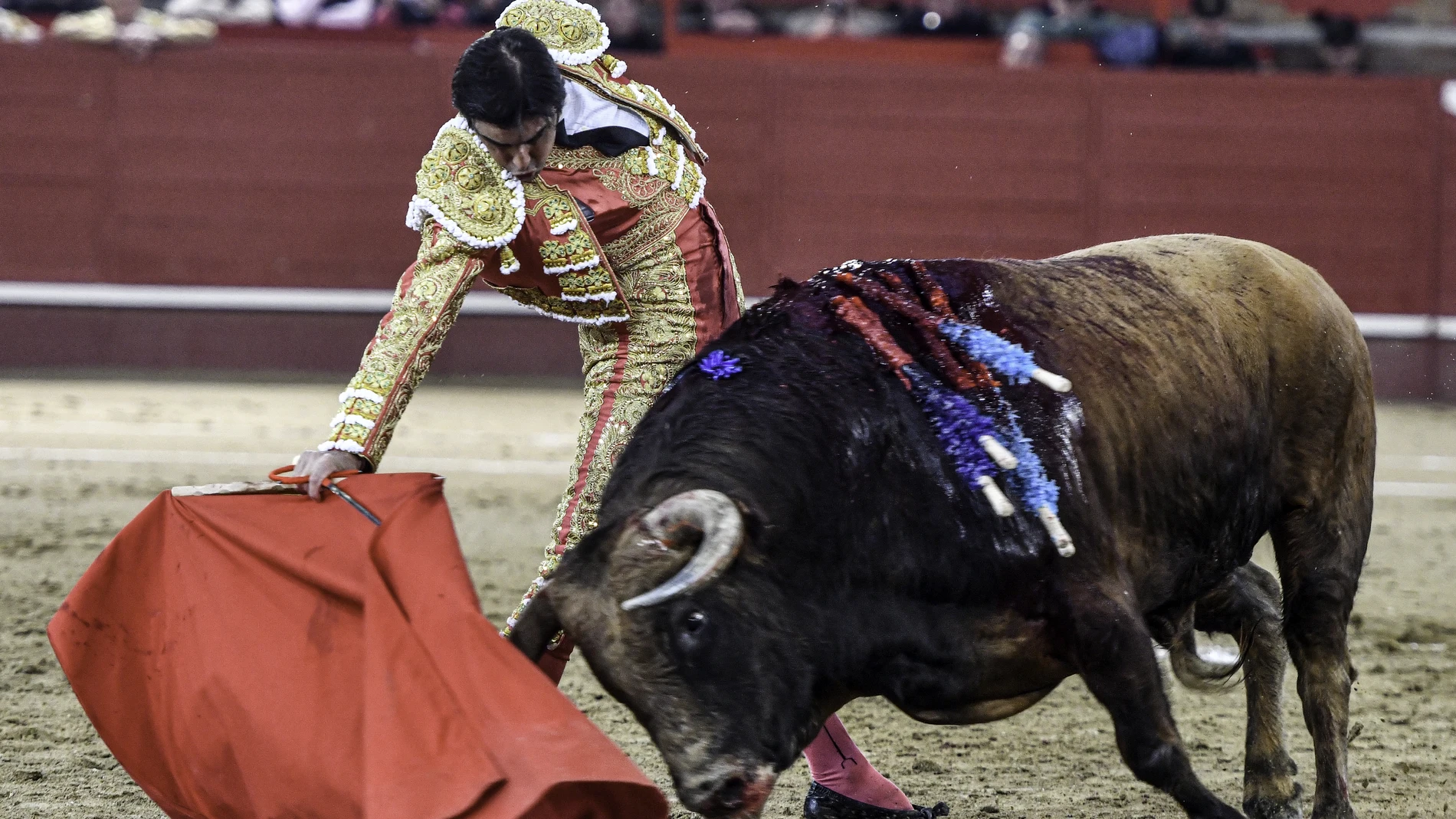 El diestro Miguel Ángel Perera durante la corrida de toros que se celebra este sábado en la plaza de toros de Valdemorillo, 