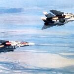 Dos Cazas F-14A Tomcat de la Fuerza Aérea de Irán armados con múltiples misiles