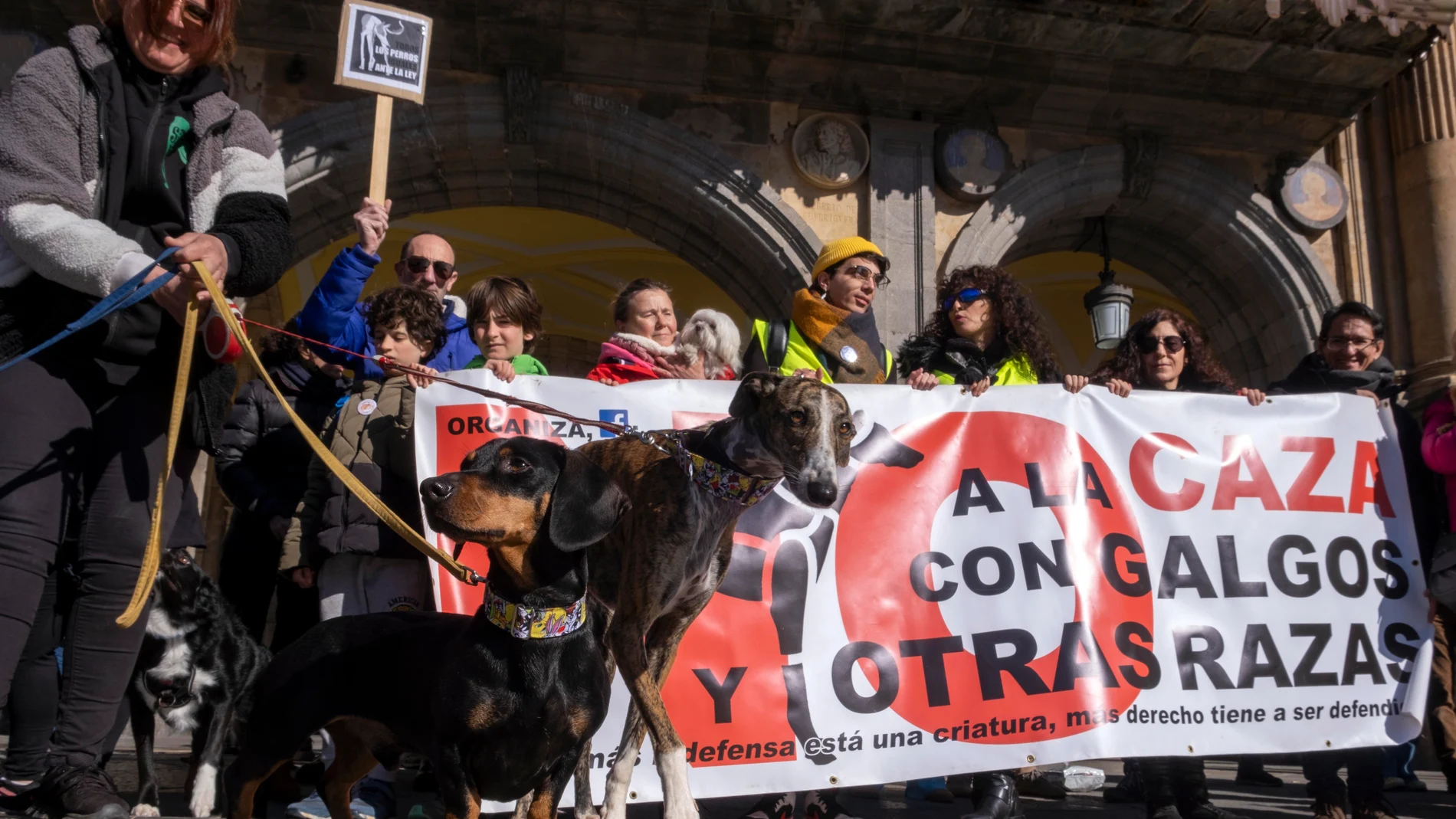 Manifestación de la Plataforma "No a la caza" en Salamanca