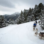 Un par de personas practican "mushing" en Grandvalira, Andorra