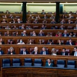Pleno en el Congreso de los Diputados