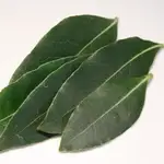 Las hojas de este árbol tienen un sabor y un aroma muy fuertes y amargos cuando están frescas. Por ello conviene que estén secas para emplearlas en la cocina