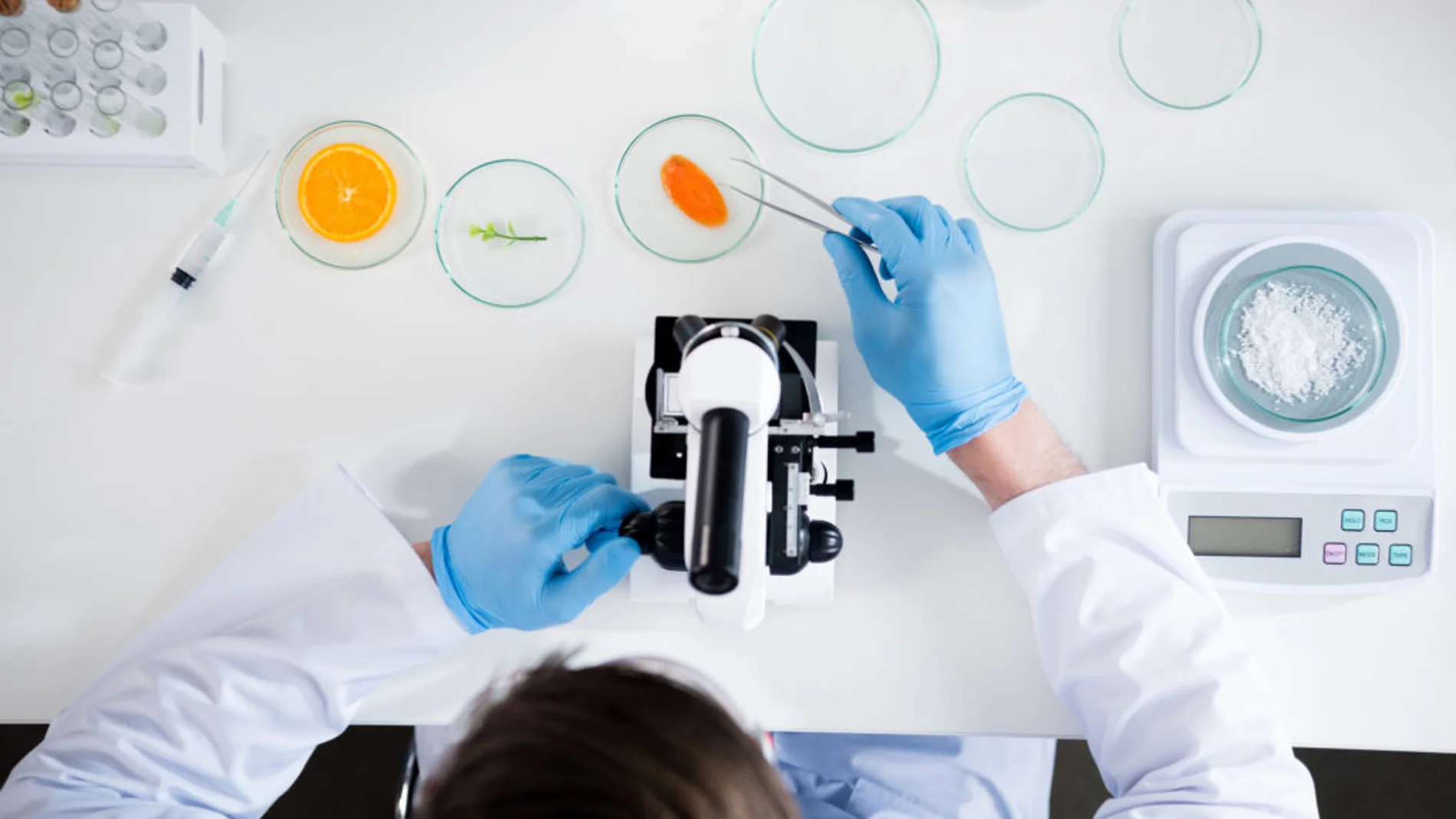 'Vinci CTNC'; la herramienta digital para empresas del sector alimentario