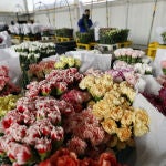 Las flores para San Valentín, un producto colombiano con toque venezolano