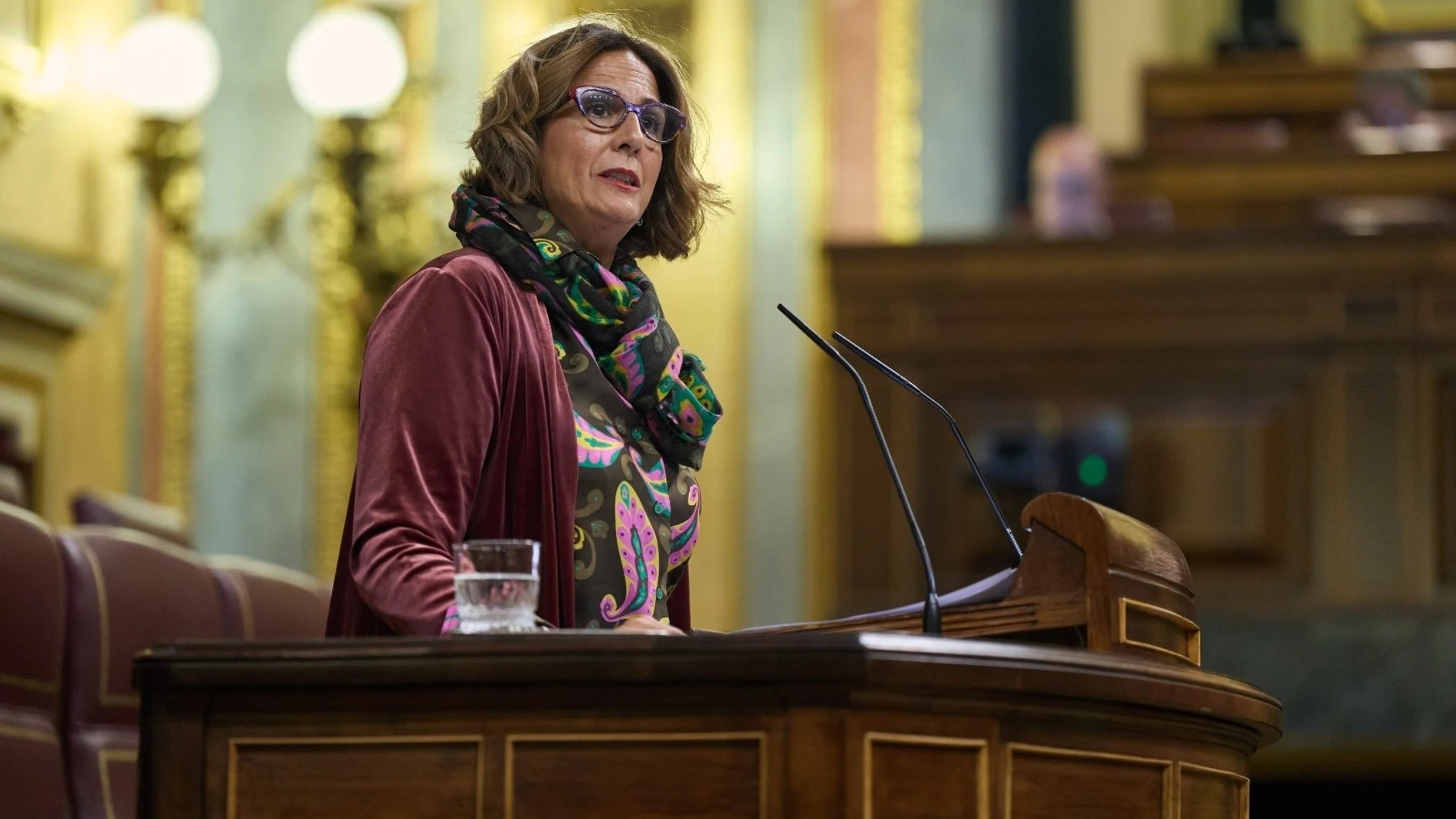 MURCIA.-Borrego (PP): "Vélez miente a la Región, porque la criminalidad se ha disparado un 20,6 y la ciberdelincuencia un 163%"