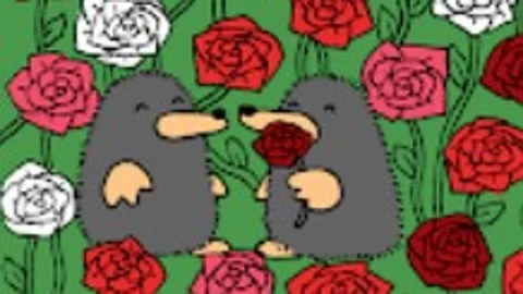 Acertijo visual de San Valentín