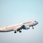 Economía/Empresas.- Air France y KLM lanzan un portal de servicios para agentes de viajes