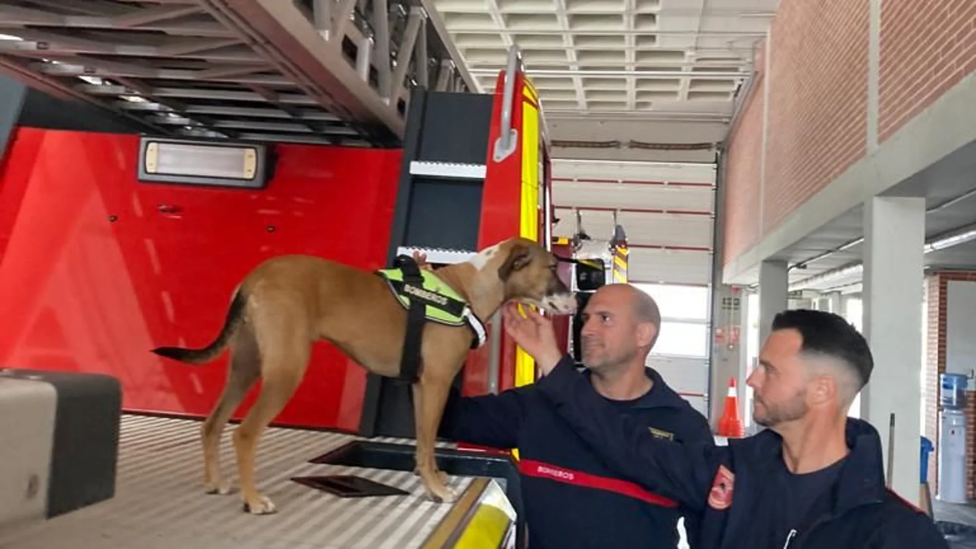 Ángel Moratalla y Rafael Arnau han regresado de Turquía, tras buscar a supervivientes del terremoto con su perro.