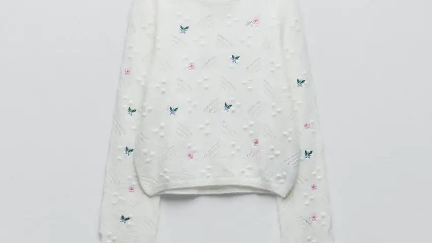 Jersey bordados.
