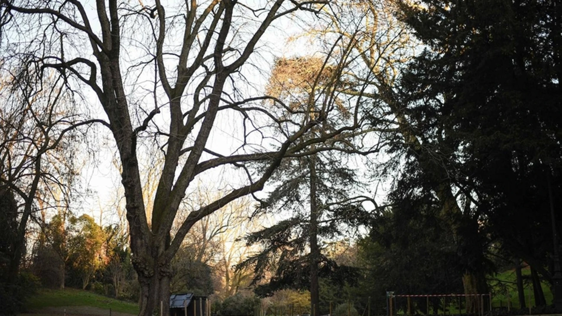 El parque parisino Buttes Chaumont, muy concurrido por corredores y familias, fue el lugar donde descubrieron los restos de una mujer