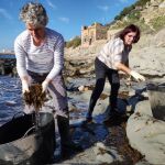 El alga invasora, un «antídoto» contra la seca en Los Arcornocales 