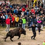 Dos heridos en el primer encierro de Ciudad Rodrigo