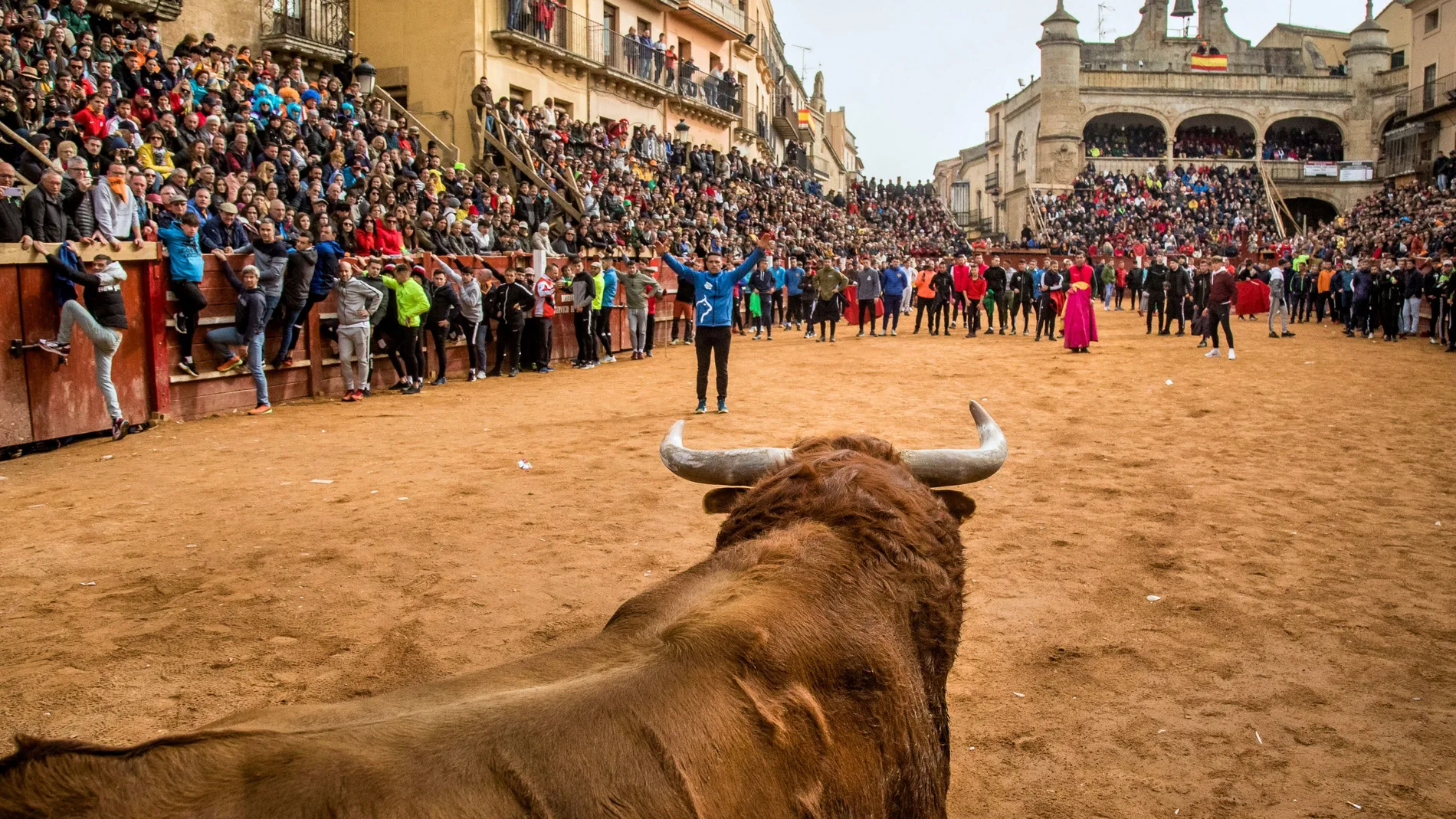 El Toro del Aguardiente hiere de gravedad a un mozo en Ciudad Rodrigo