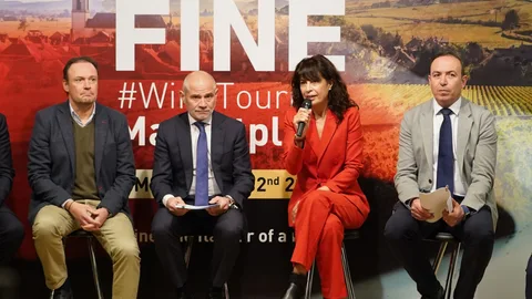 Ana Redondo interviene en la presentación de FINE junto a Caramanzana, Víctor Alonso y Calos Villar