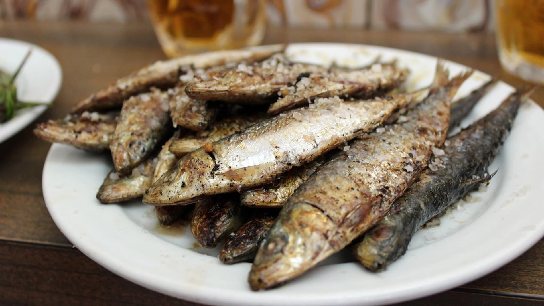 Foto de archivo de sardinas