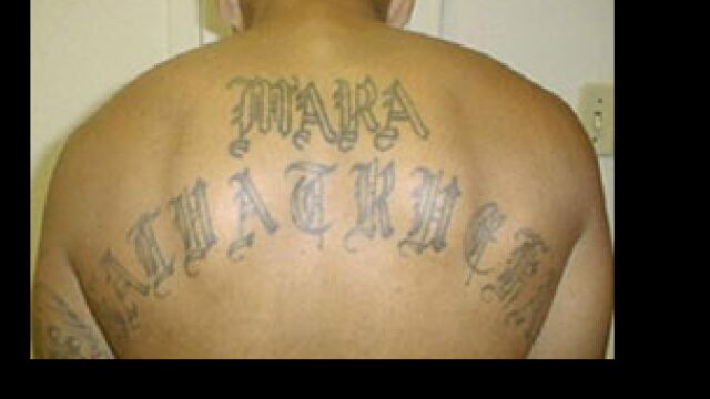 Miembro de la Mara Salvatrucha detenido por la DEA