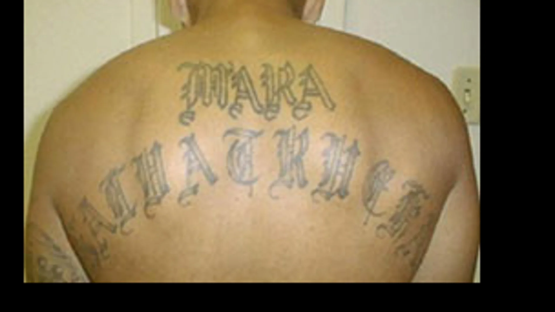 Miembro de la Mara Salvatrucha detenido por la DEA