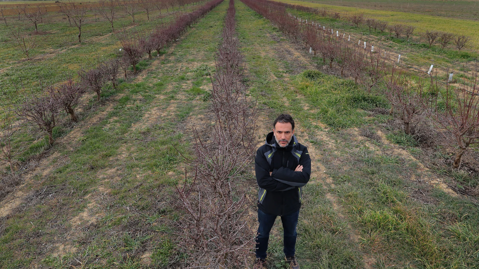 El director del ITAGRA, Asier Saiz, en la explotación agrícola de referencia cercana a la capital palentina donde se experimenta con almendros y olivos