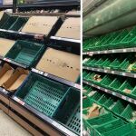 Los agricultores británicos piden a los ministros a tomar "medidas urgentes" para evitar que los estantes permanezcan vacíos