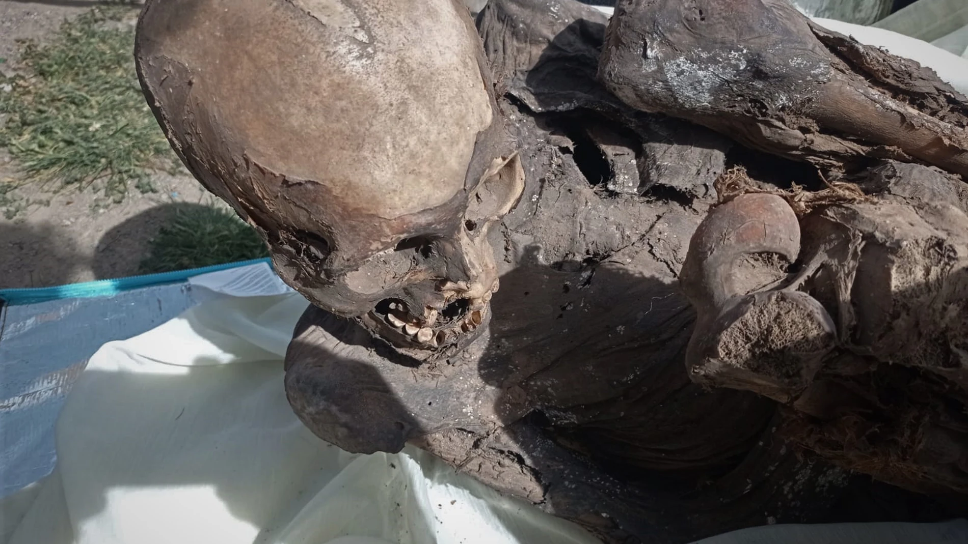 AME8343. LIMA (PERÚ), 27/02/2023.- Fotografía cedida por el Ministerio de Cultura, que muestra una momia prehispánica. Una momia prehispánica, de entre 600 y 800 años de antigüedad, fue hallada dentro de la mochila de un repartidor de una empresa de "delivery" (reparto a domicilio) en la región peruana de Puno, colindante con Bolivia, informaron este lunes fuentes oficiales. EFE/Ministerio de Cultura/SOLO USO EDITORIAL/ SOLO DISPONIBLE PARA ILUSTRAR LA NOTICIA QUE ACOMPAÑA (CRÉDITO OBLIGATORIO) 
