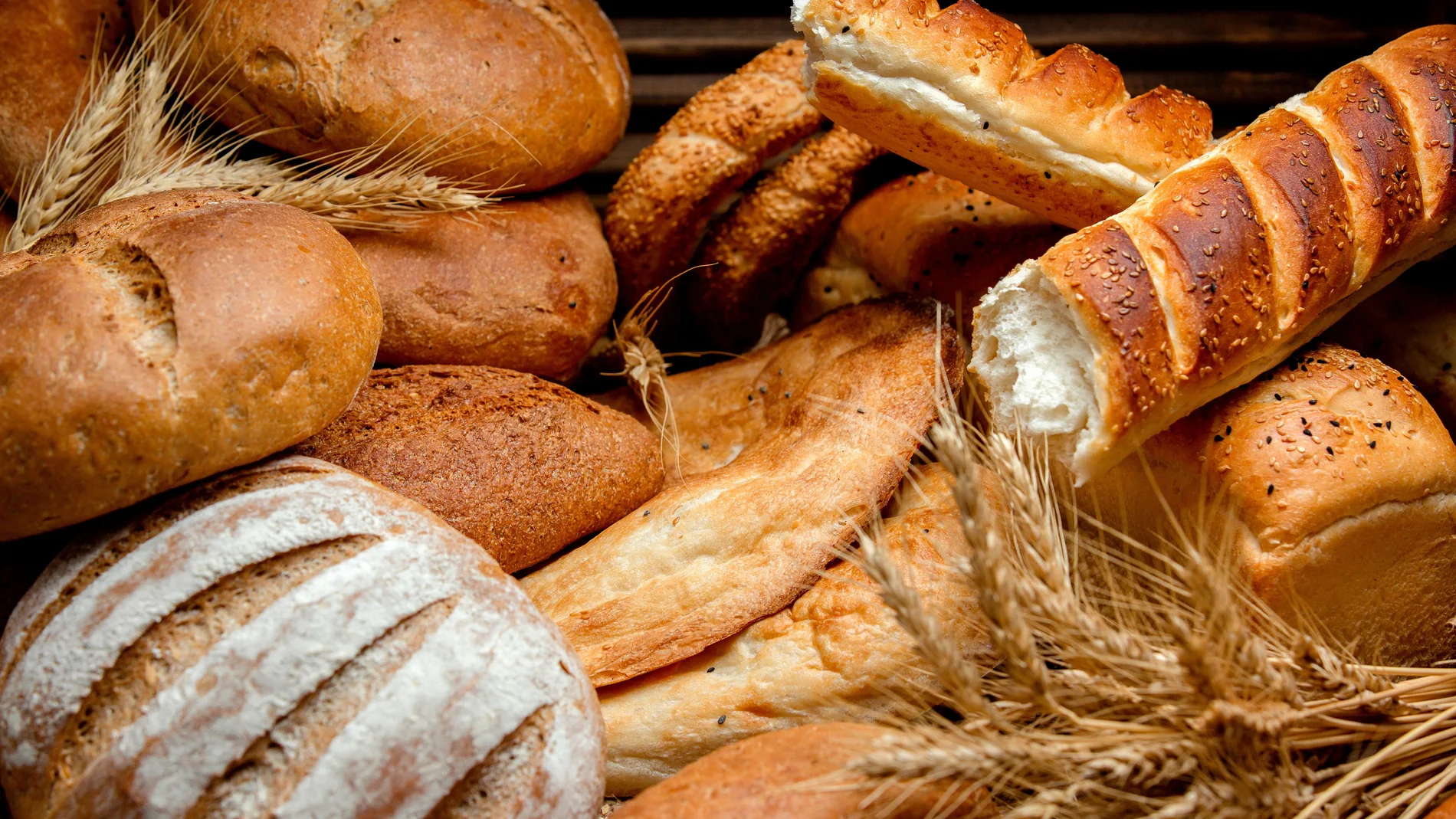 Pioneros del pan de pana - El Nuevo Día