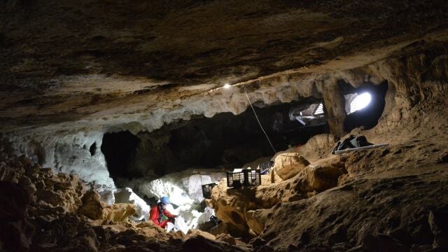 Investigadores revelan que la Península Ibérica fue refugio de poblaciones durante la Edad del Hielo