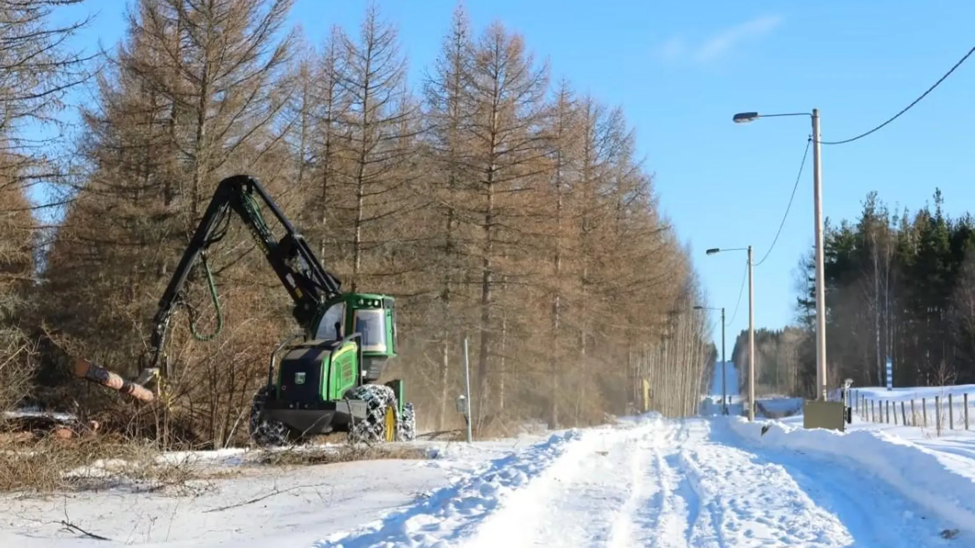 Las maquinas empiezan a retirar los árboles de la frontera entre finesas-rusa