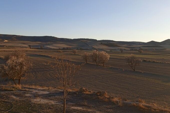 Coag advierte de la sequía invernal que ahoga los cultivos de Murcia