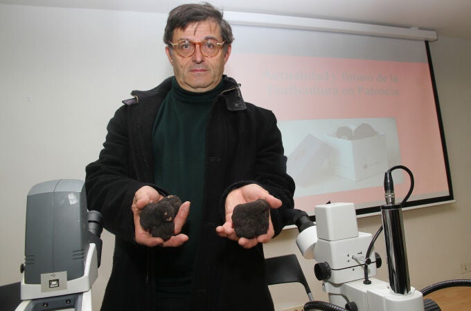 El catedrático de Micología, Andrés Oria, muestra unas trufas negras