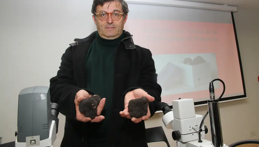 El catedrático de Micología, Andrés Oria, muestra unas trufas negras