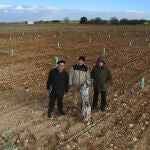 El catedrático de Micología, Andrés Oria, y los truficultures Jesús Peral y José Hernandez con su perro Tor en una plantación de encinas micorrizadas con trufas