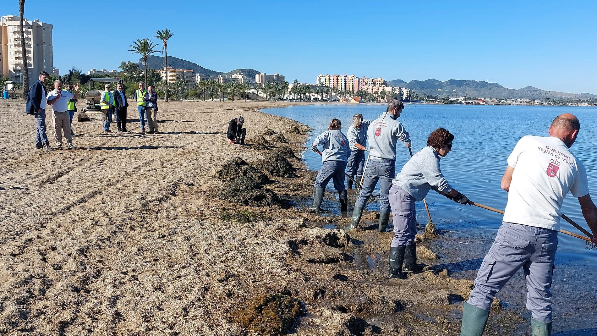 El consejero de Medio Ambiente, Mar Menor, Universidades e Investigación, Juan María Vázquez, durante su visita los trabajos de retirada de biomasa en el Mar Menor