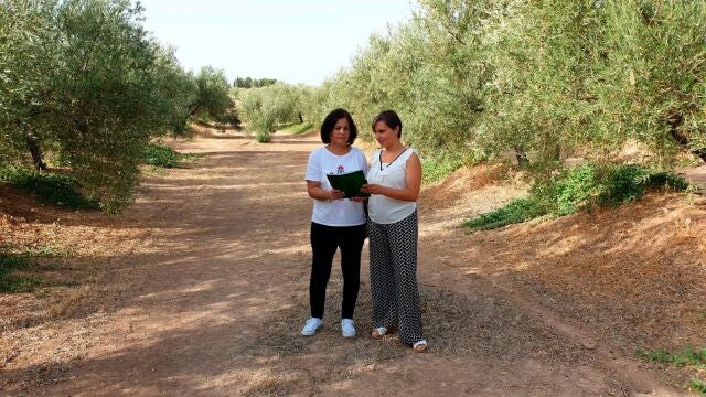 La delegada de Agricultura en Jaén, Soledad Aranda, con una olivarera en el campo