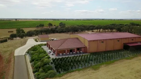 Panorámica de Vile la Finca Bodegas y Viñedos, de la DO León