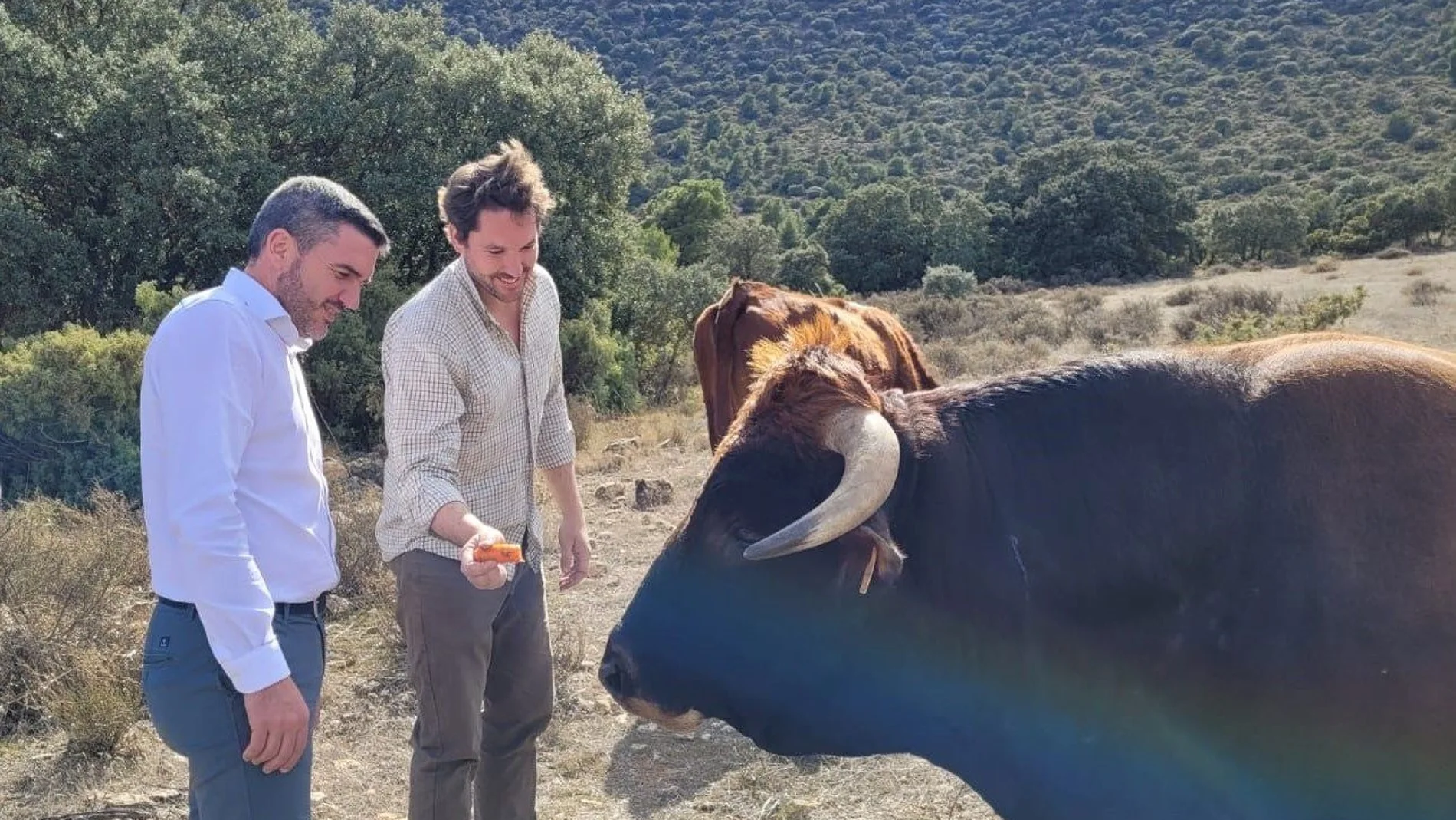 El consejero Antonio Luengo, durante su visita a la finca La Junquera