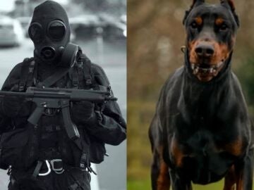 Ex soldados de los cuerpos especiales y perros policía: Así se protegen de los asaltos los deportistas de élite