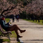 Una persona lee el periódico en el Parque de la Quinta de los Molinos