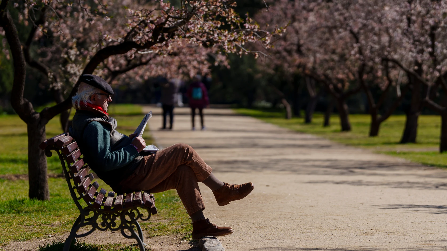 Una persona lee el periódico en el Parque de la Quinta de los Molinos