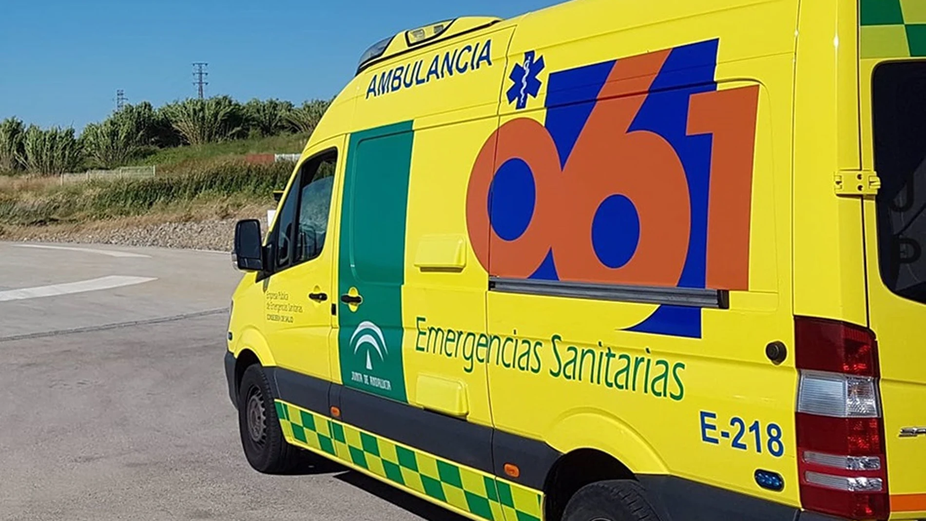 En estado crítico un menor de dos años encontrado en una piscina en Estepona (Málaga)