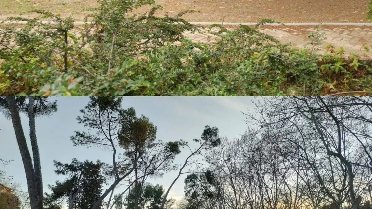 La zona de ancianos del Parque el Calero antes de la reforma con el suelo de tierra (arriba) y después de las obras que comenzaron en septiembre y está previsto que finalicen en abril.