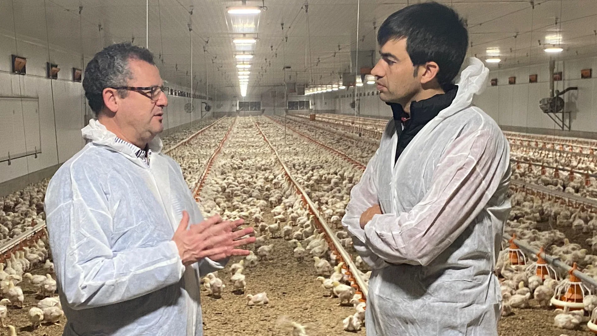El consejero de Agricultura, Ganadería y Desarrollo Rural, Gerardo Dueñas, visita las instalaciones de la explotación Agroganadera Martivaz en Berlanda de Duero (Soria)